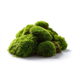 Poster - A small, perfectly formed green moss cluster, isolated on a pure white background. Softness, nature.