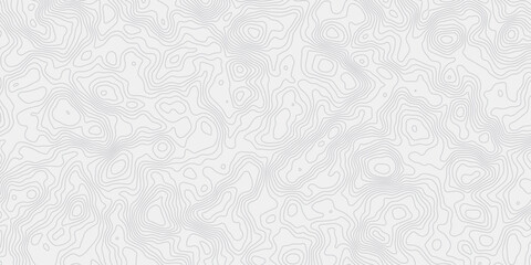 Poster - digital wave gray stylezed  contour lines creating an abstract topographic map style white background.
