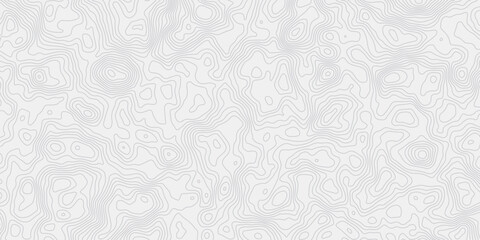 Poster - digital wave gray stylezed  contour lines creating an abstract topographic map style white background.
