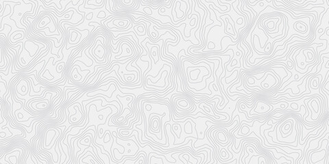 Poster - digital wave gray stylezed  contour lines creating an abstract topographic map style white background.
