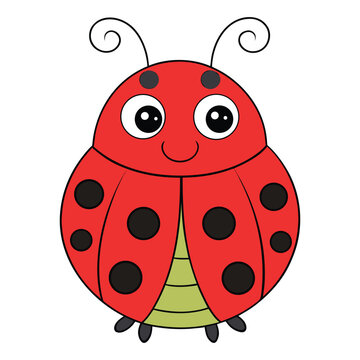 Vector illustration of cute ladybug smiling cartoon.