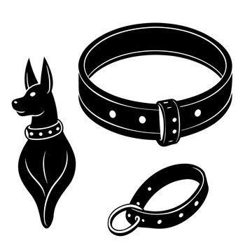 Leash and Collar  Vector Illustration – Cute Animal Design for Pet Lovers
