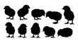 © QuickDesign24 - Silhouette illustration of ten baby chicks in various positions For Thanksgiving Vector Design