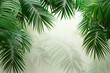 © Hamza - palm tree leaves overlay texture, border of fresh green tropical plants isolated on transparent background