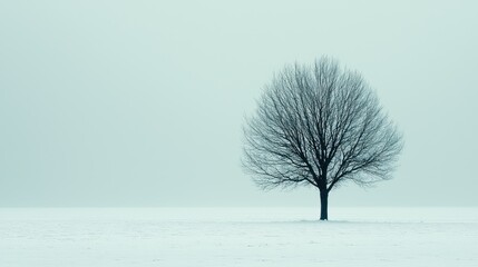 Winter tree in snow landscape