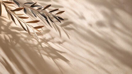 Poster - Natural Light and Shadows: a beautiful artistic composition with a delicate branch and a play of light, casting shadows and revealing the beauty of natural texture.