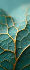 high-quality botanical macro of dark green leaf veins with golden highlights for modern lifestyle so