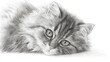 © Alex Piatkowski - Detailed pencil drawing of a fluffy cat with expressive eyes resting on a surface in a calm indoor setting