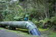 © Stefan - A large water pipe with a valve runs through a forest by Lower Ninotupu Reservoir, New Zealand. The pipe transports water for irrigation or drinking water to nearby communities.