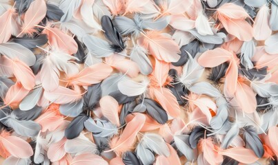 Poster - Pastel feathers gentle texture soft pink gray and white feather arrangement