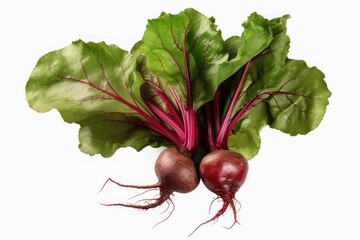 Poster - Freshly harvested beetroots with vibrant green leaves and deep red roots are displayed against a clean white backdrop