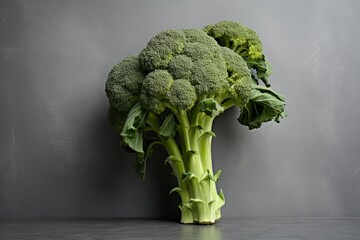 Poster - Fresh broccoli with stem and leaves is standing on a dark background, showcasing its vibrant green color and textured florets