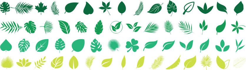 Wall Mural - Green leaf icon collection featuring tropical, botanical, and nature inspired design for eco projects, natural product branding, organic themes, environmental graphics. leaf shapes and silhouettes