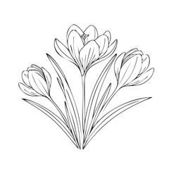 Aufkleber - Minimalist botanical line art of spring crocus flowers with leaves outline drawing