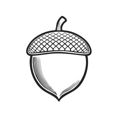 Poster - Detailed black and white acorn illustration. Botanical nature graphic design.