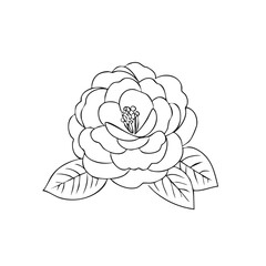 Aufkleber - Detailed Camellia Flower Illustration Black and White Line Art with Leaves