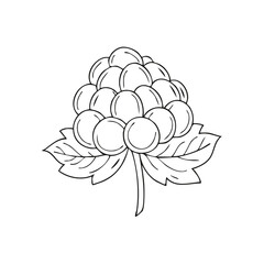 Poster - Simple Black and White Line Art Illustration of Berries and Leaves Healthy Fruit Icon