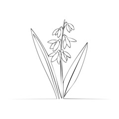 Poster - Minimalist snowdrop flower continuous one line drawing botanical art
