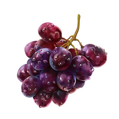 Wall Mural - A cluster of ripe, purple grapes with water droplets glistening on their smooth surfaces.