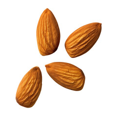 Wall Mural - Four whole almonds arranged in a square pattern