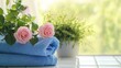 © xia - Two clean blue towels folded on top of each other, pink roses and green plants in the background, bathroom tiles, bright window light, copy space for cleaning and home product advertising design