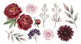 Beautiful watercolor floral elements collection with peonies roses and berries isolated on transparent background