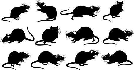 Wall Mural - Vector Set of Rat Silhouettes on White Background
