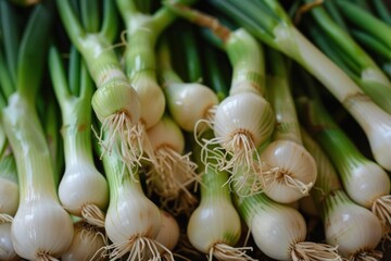 Poster - Bunch of freshly picked spring onions, highlighting their white bulbs with roots and vibrant green stalks