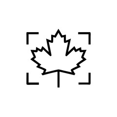 Poster - Maple leaf icon within a square frame on symbol nature