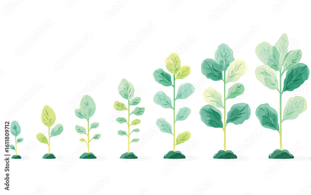 Conceptual Illustration of Plant Growth Stages from Seedling to Mature ...