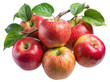 © Md - A bunch of freshly picked ripe red and yellow apples with green leaves on a branch isolated on transparent background