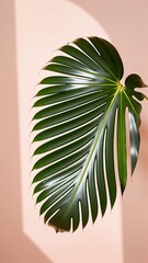 Poster - A single, vibrant Monstera leaf casts a dramatic shadow on a soft, peach-toned background wall.