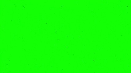 Poster - Green screen flickers with noise and dust. Film grain textures overlay the motion. Grunge lines distort the footage. Old TV filter effect loops with destruction.