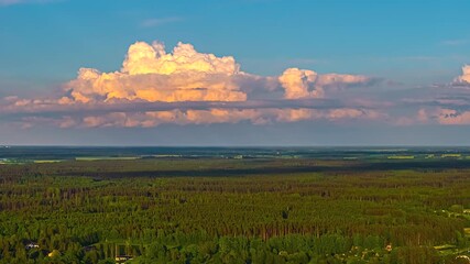 Wall Mural - Towering cumulus clouds over dense green forest under dramatic sky in aerial timelapse