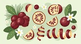 Stylized composition of garcinia fruit segments, leaves, flowers and peel spirals on pale green