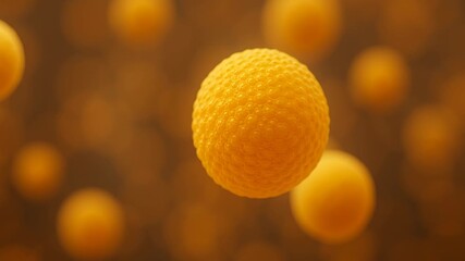 Poster - Stem cell therapy lab. Yellow orange textured spheres floating in warm blurred background creating calm abstract atmosphere with soft lighting and depth