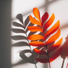 Poster - Vibrant orange leaf casts a shadow on a light background.