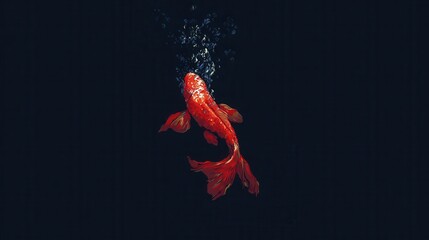Poster - Vivid red fish in dark water.
