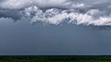 Wall Mural - dark storm clouds rolling in over treetops during approaching thunderstorm