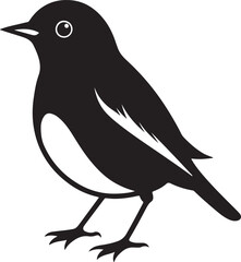 bird silhouette, black and white silhouette, vector and illustration