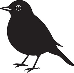 bird silhouette, black and white silhouette, vector and illustration