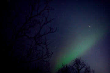 Wall Mural - aurora borealis, polar lights with milky way stars.