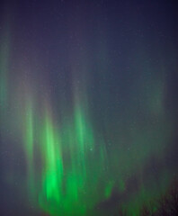 Wall Mural - aurora borealis, polar lights with milky way stars.