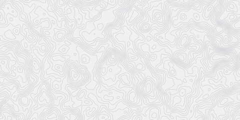 Poster - modern white and grey wavey curve line contour map design featuring topography minimalist showing elevation changes and terrain path white background.	
