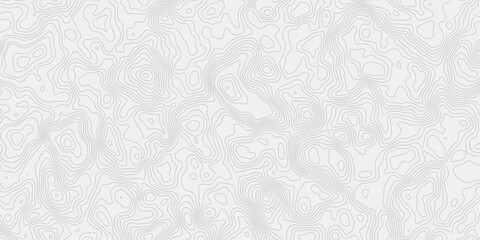 Poster - modern white and grey wavey curve line contour map design featuring topography minimalist showing elevation changes and terrain path white background.	