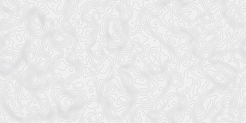 Poster - modern white and grey wavey curve line contour map design featuring topography minimalist showing elevation changes and terrain path white background.	