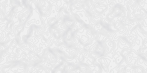 Poster - modern white and grey wavey curve line contour map design featuring topography minimalist showing elevation changes and terrain path white background.	