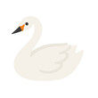© oki - A graceful white swan with a black beak and orange accents, depicted in a simple, clean illustration against a white background.