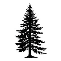 Wall Mural - fir tree silhouette