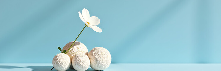 Wall Mural - delicate white flower sits atop textured geometric object cluster bright light blue background shallow focus subtle